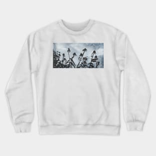 Cricket on the Echinacea Crewneck Sweatshirt